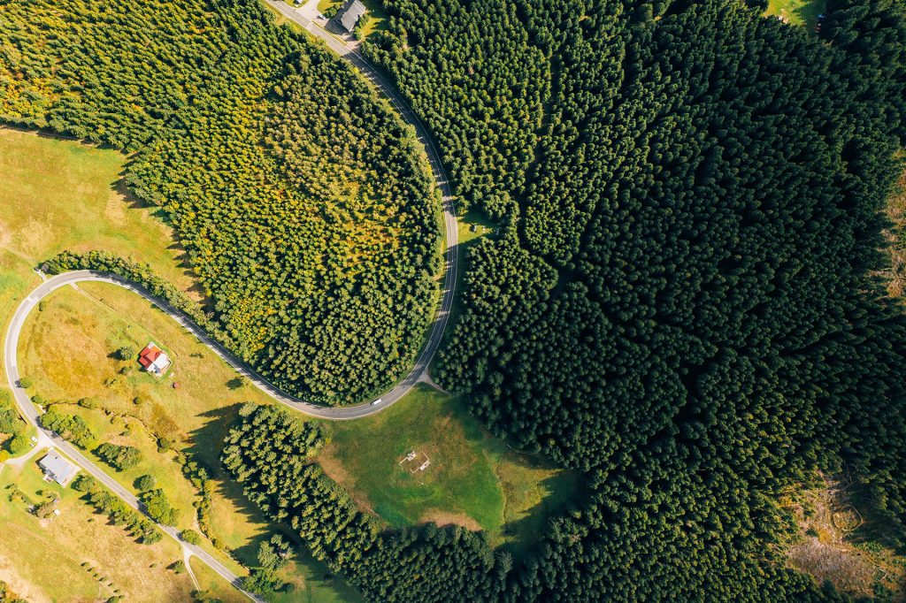 Aerial view of a winding road leading through dense, sustainably managed forest areas and open meadows with individual buildings – a symbol of nature-oriented, resource-efficient building planning and lived sustainability in harmony with the landscape.